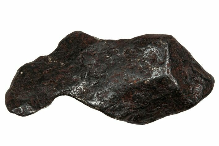 Canyon Diablo Iron Meteorite ( g) - Arizona #336025
